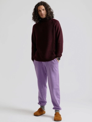 Adam Men's GOTS Organic Cotton Jogger | Lilac