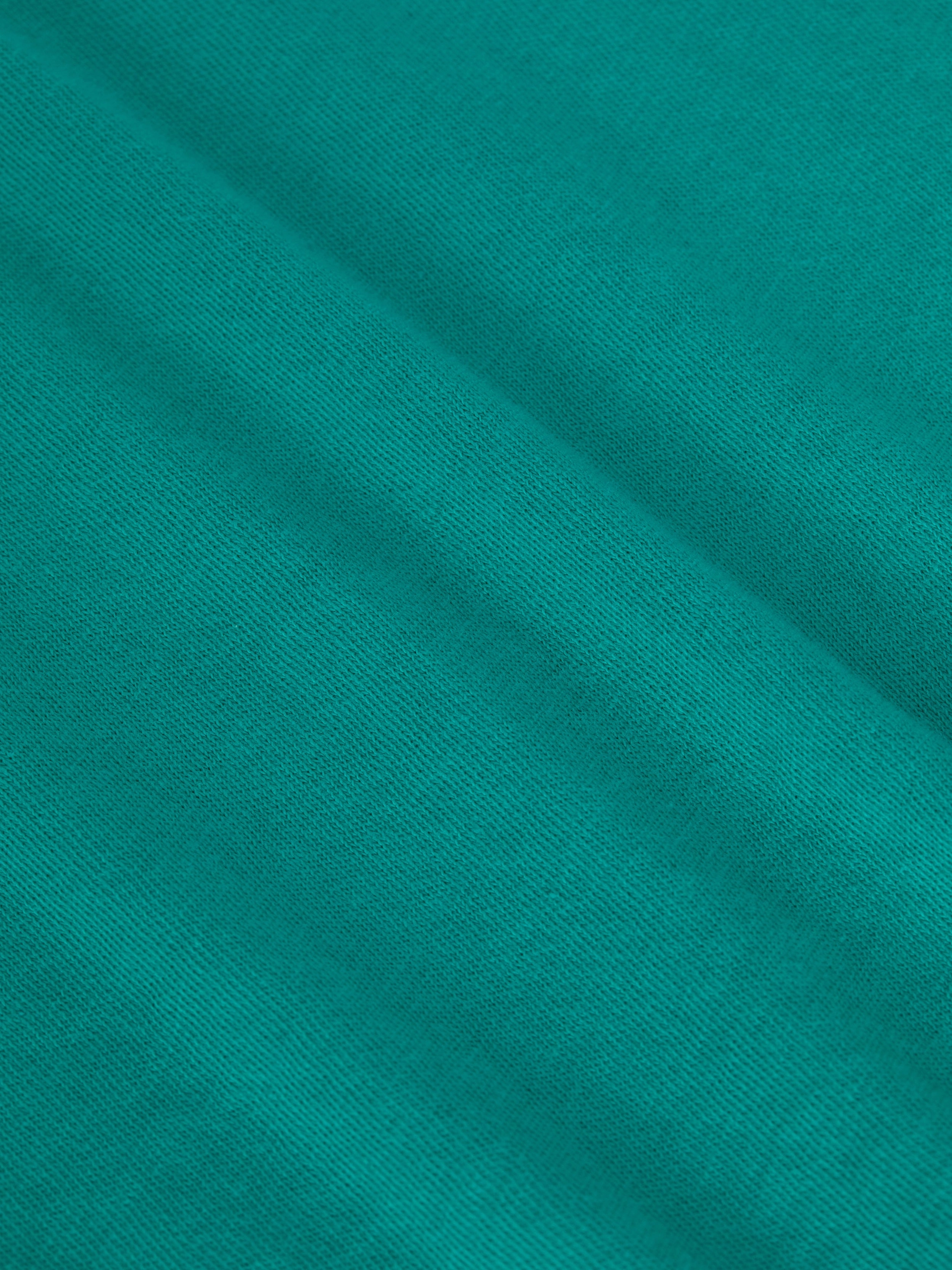 Becca Cotton V-Neck Tee