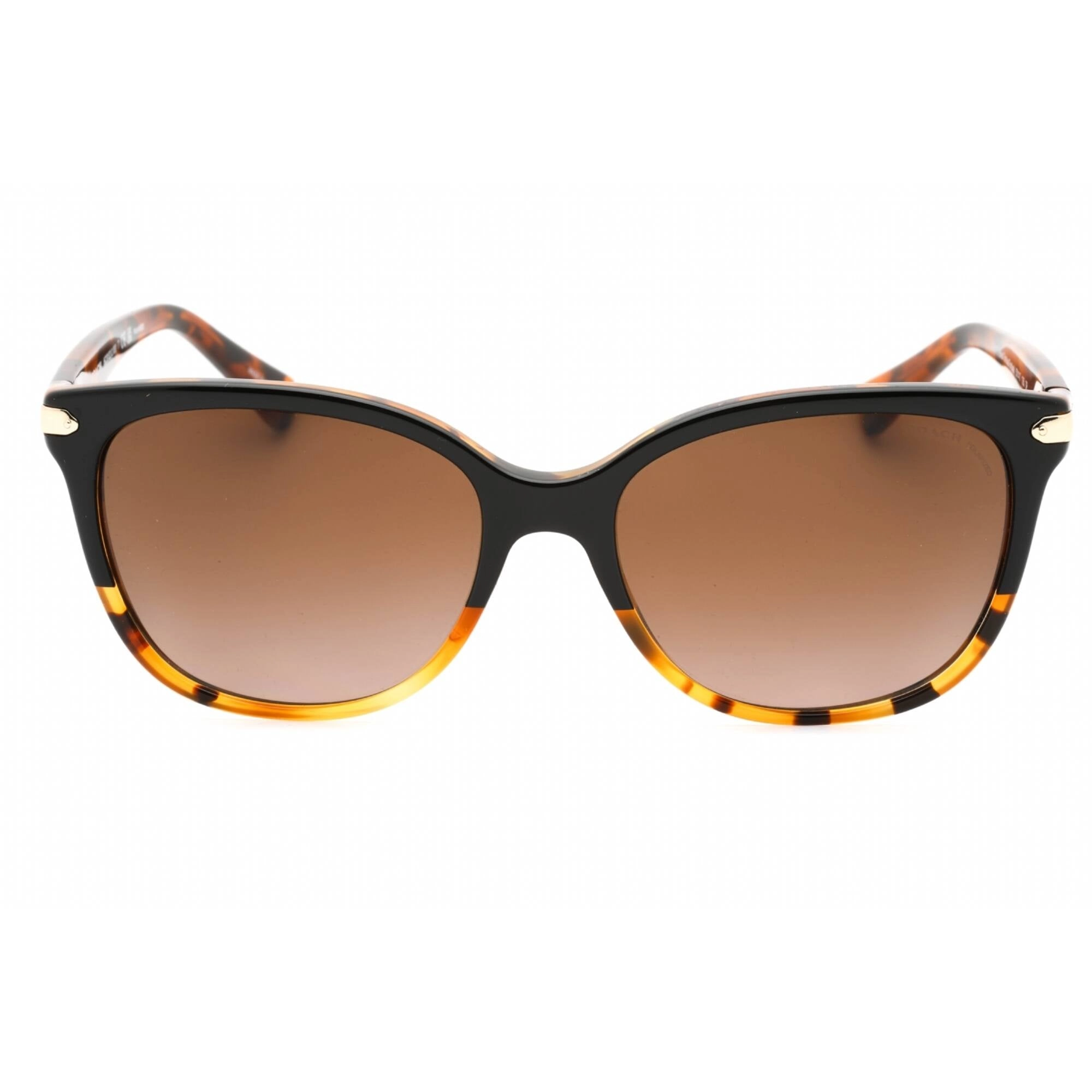 Coach Women's Sunglasses - Black Tortoise Frame Brown Gradient Lens | 0HC8132 5438T5