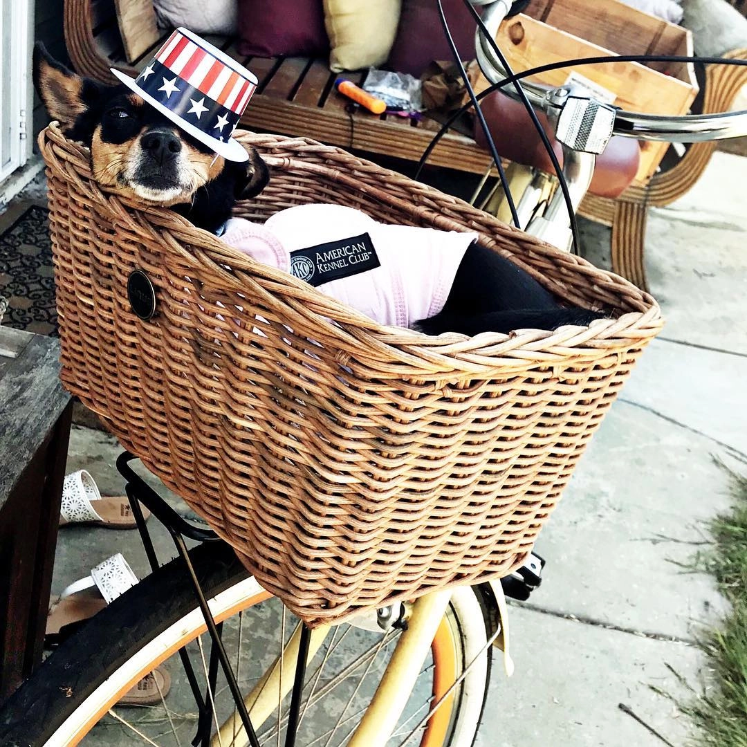 sixthreezero EVRYjourney Women's Casual Edition 7-Speed w/ Integrated Cable Lock, Light and Basket