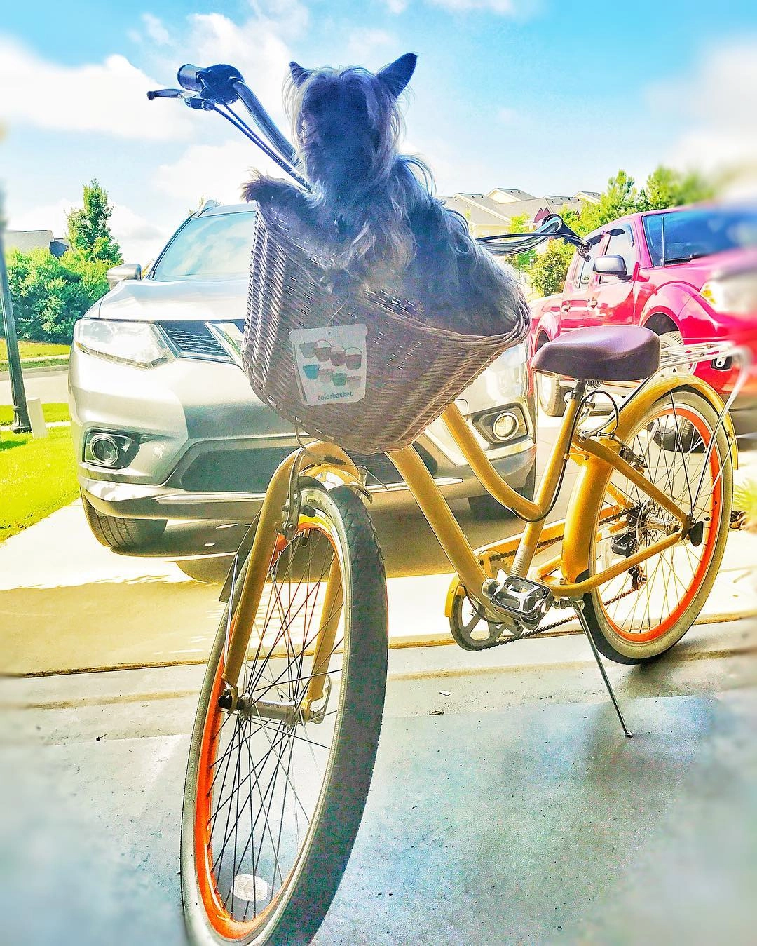 sixthreezero EVRYjourney Women's Casual Edition 7-Speed w/ Integrated Cable Lock, Light and Basket
